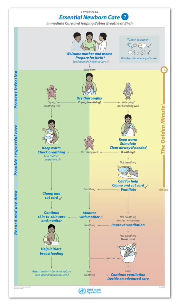 Action Plan - Essential Newborn Care 1 (Qty. 5) - Laerdal Global Health