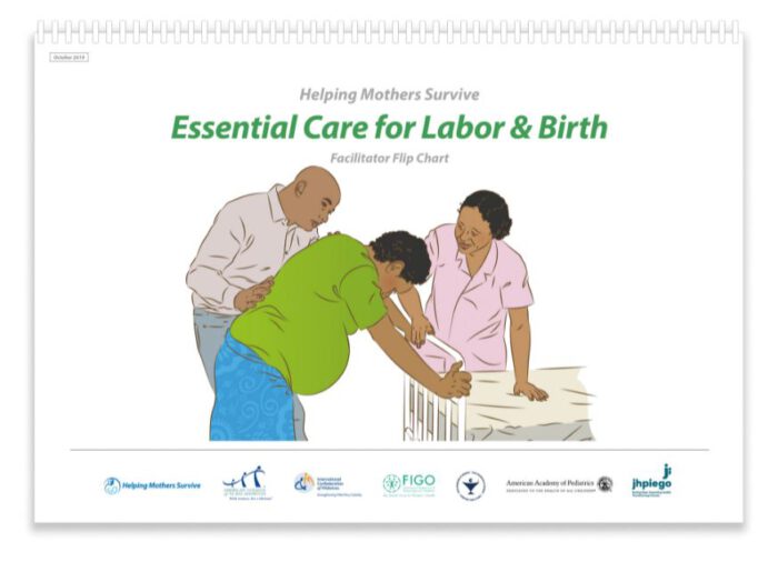 Flip Chart - HMS Essential Care for Labor & Birth