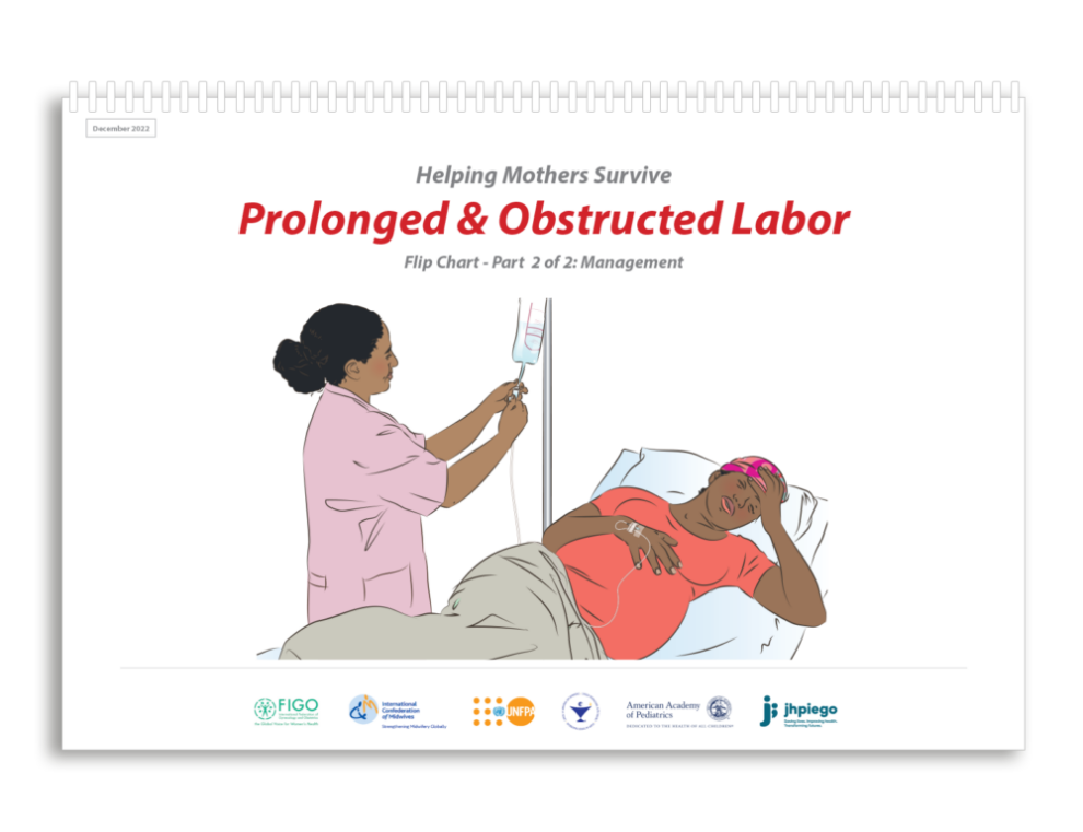 Flip Charts Prolonged and Obstructed Labor(Qty.2) Helping Mothers