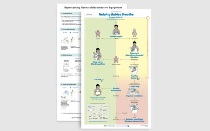 Action Plan - Helping Babies Breathe(Qty. 2*5)