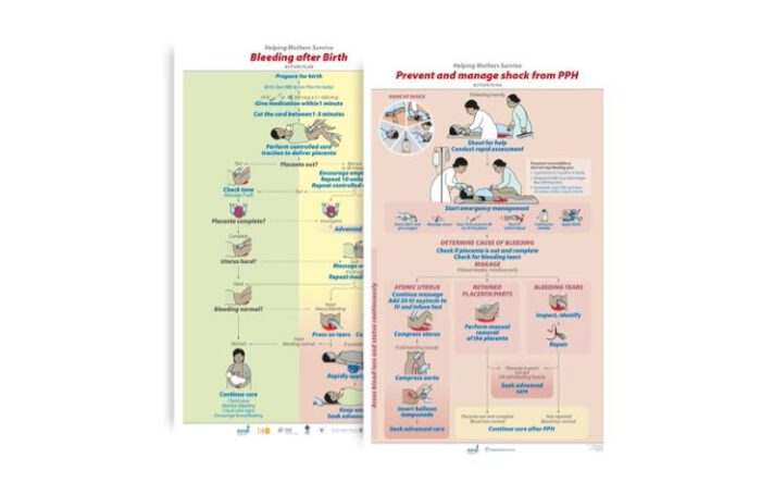 Action Plan - HMS Bleeding After Birth Complete(Qty. 2*5)