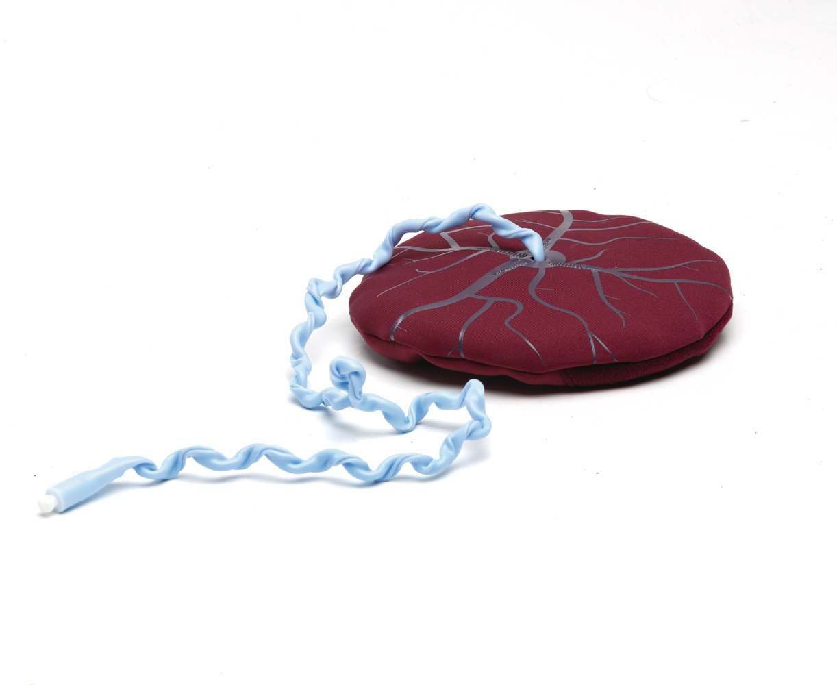 Buy Silicone Placenta and Umbilical Cord Online in India 